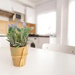 Appartamento Casa Nadia *
